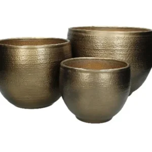 Golden Planters
